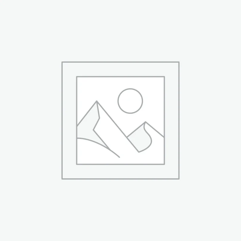 Petrol Cars - Gasoline